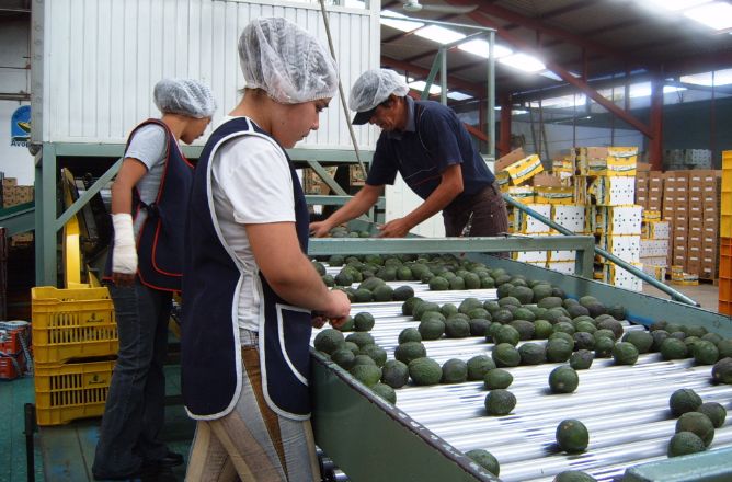 人的資源 ― 何千人もの永続的・短期的雇用